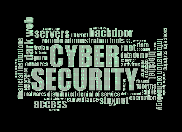 services-cyber-security